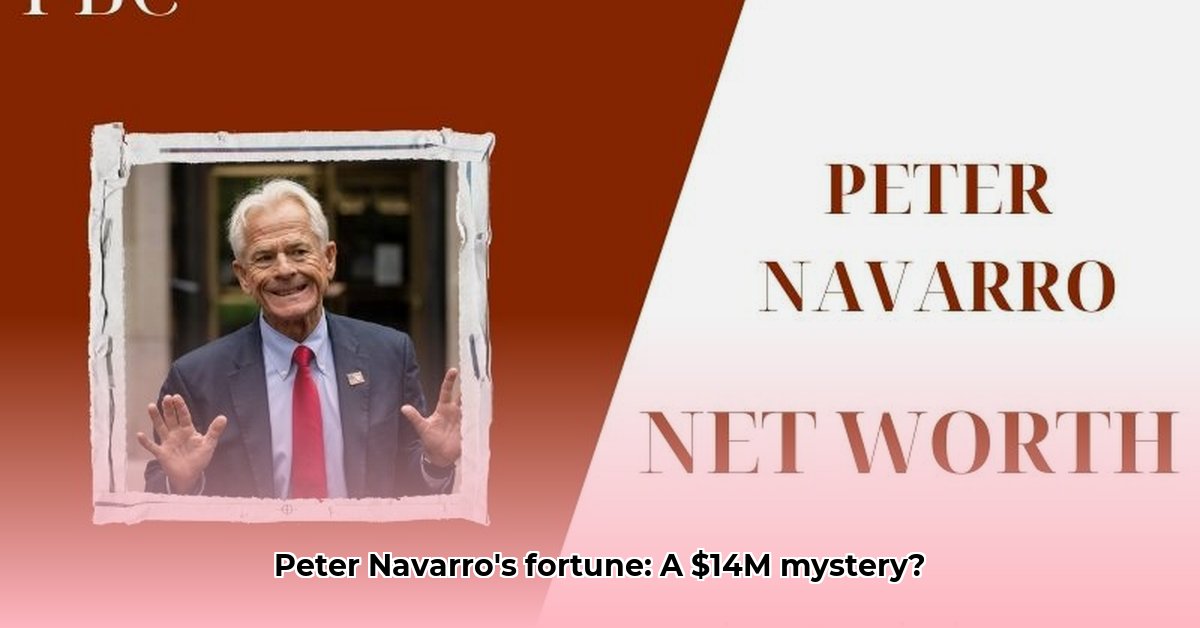 peter-navarro-s-net-worth